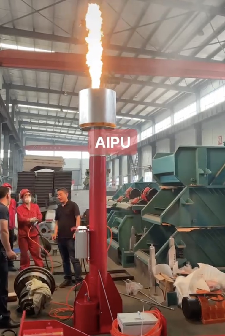 Flare ignitor test